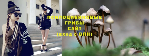 мяу мяу мука Алзамай