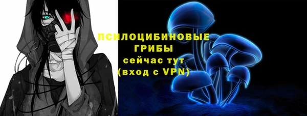 мяу мяу мука Алзамай