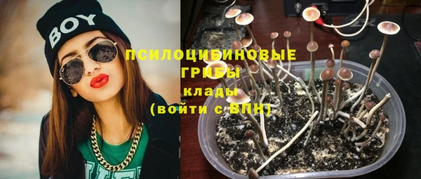спиды Алексеевка